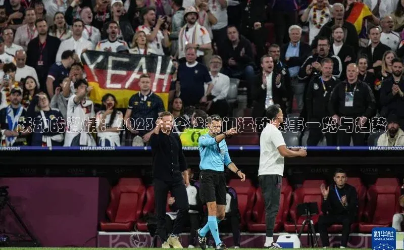 人人体育欧洲杯直播