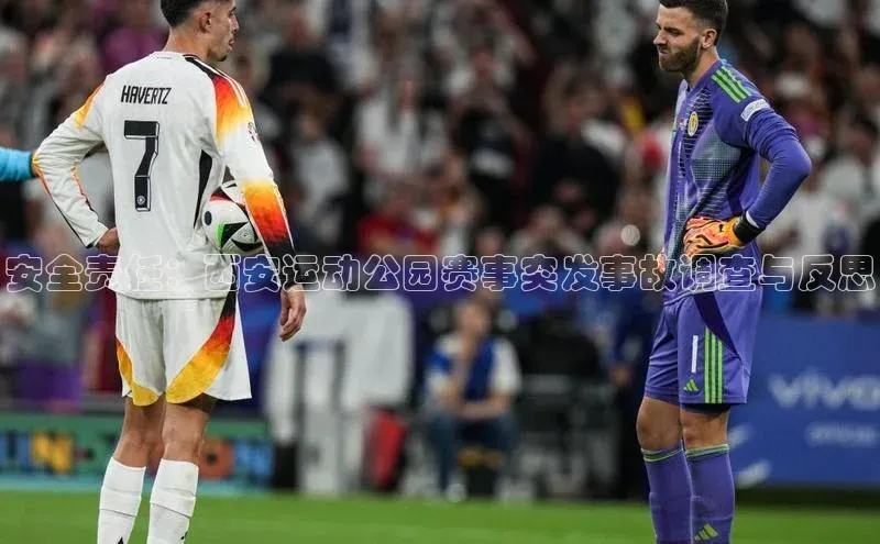 人人体育下载安装