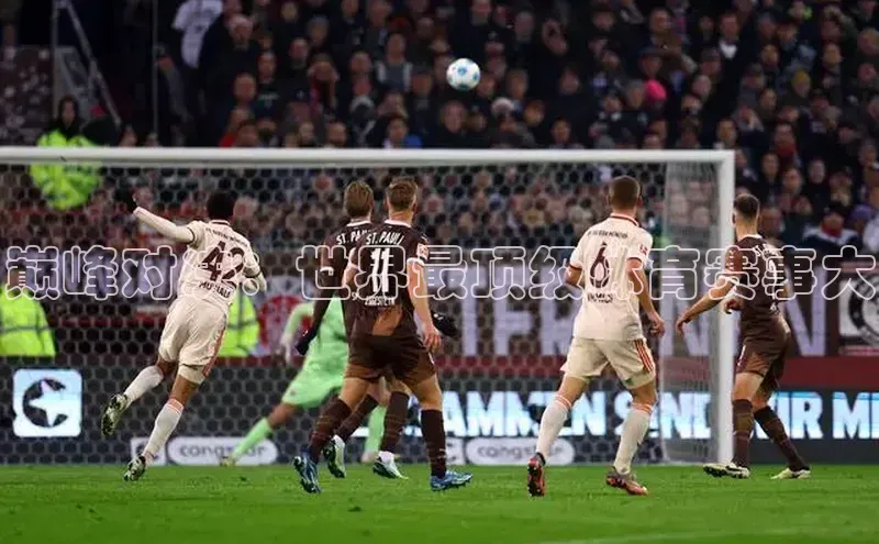 人人体育篮球直播nba下载