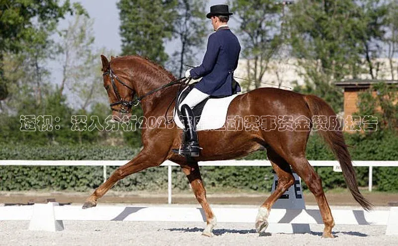 人人体育安卓下载