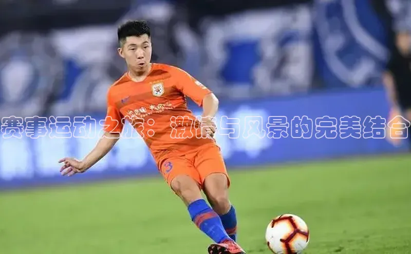 人人体育欧洲杯直播