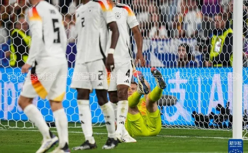 人人看球app下载