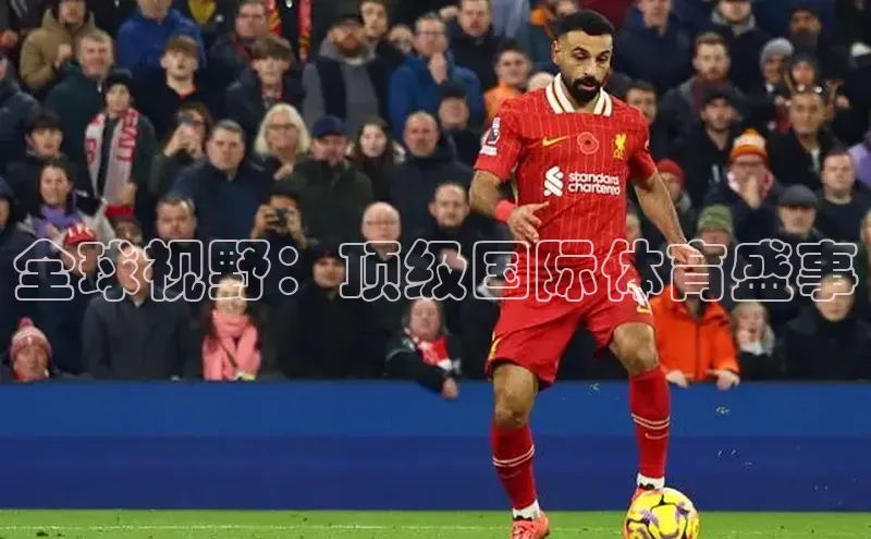 人人体育app安卓版